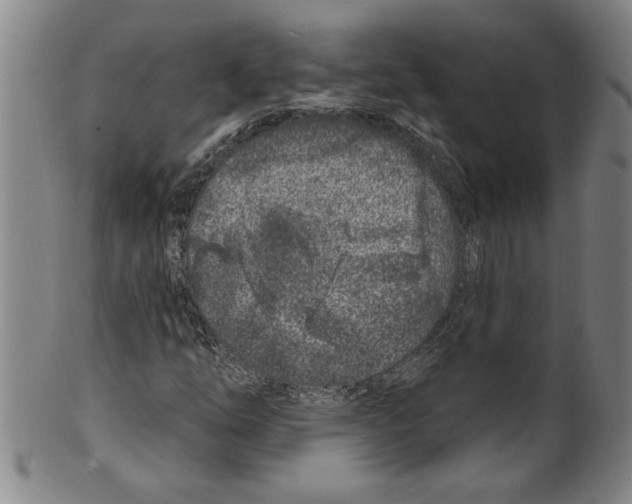 X0000099481254200806061237