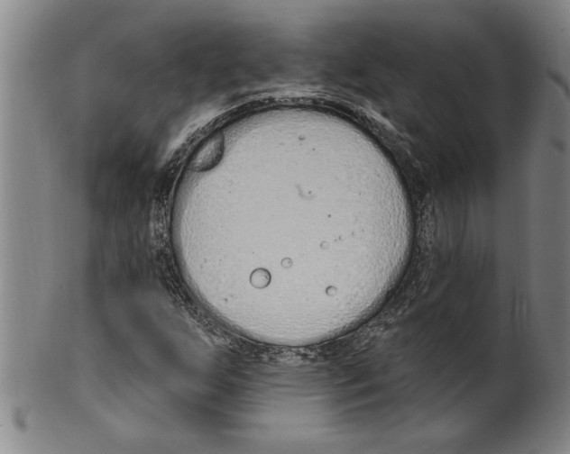X0000099481255200806061237