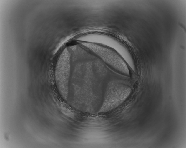 X0000099481256200806061237