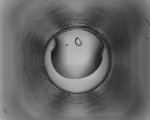 X0000099481257200806061237