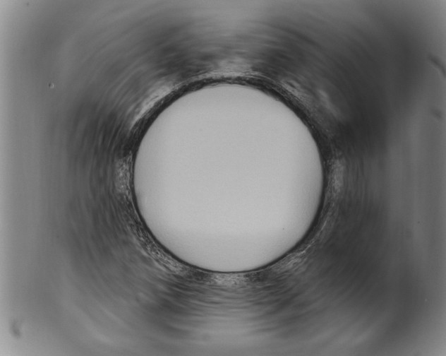 X0000099481258200806061237