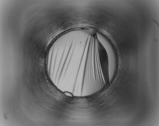 X0000099481260200806061237