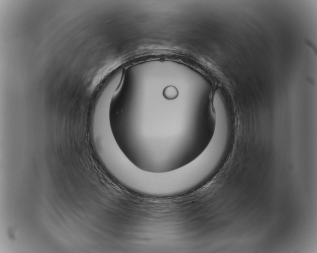 X0000099481261200806061237
