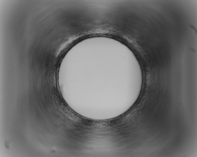 X0000099481262200806061236