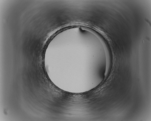 X0000099481264200806061236