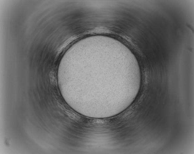 X0000099481266200806061236