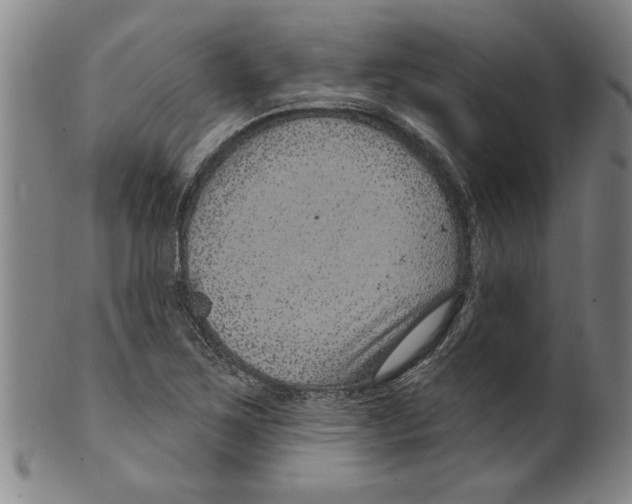 X0000099481267200806061236