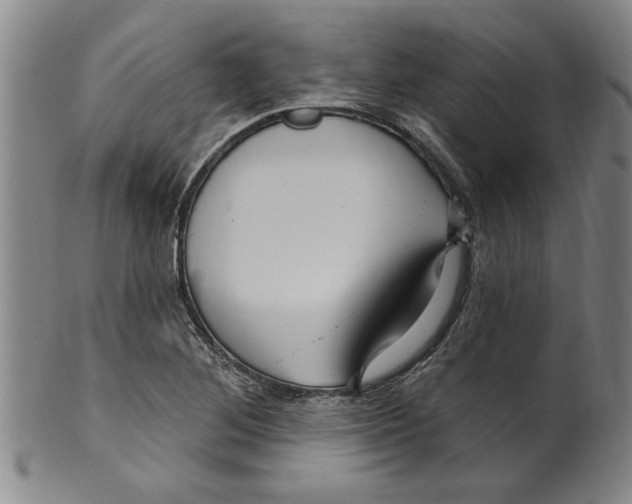 X0000099481268200806061236