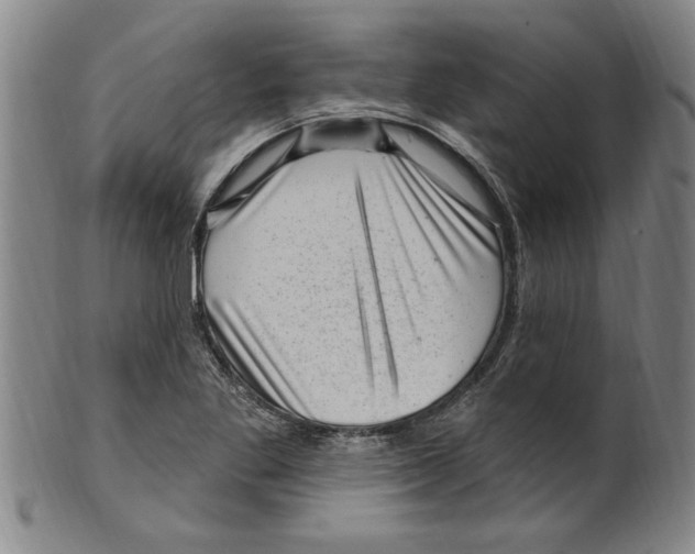 X0000099481269200806061236