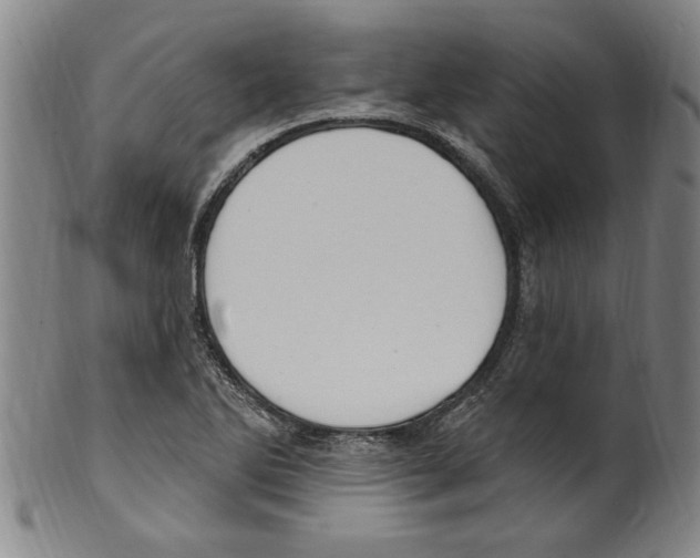 X0000099481270200806061236