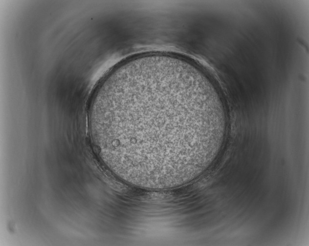 X0000099481271200806061236