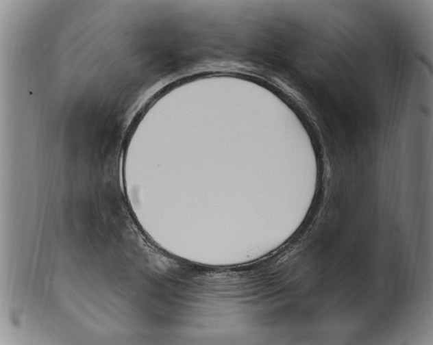 X0000099481272200806061236