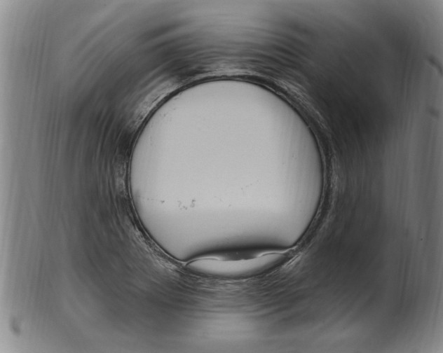 X0000099481273200806061236