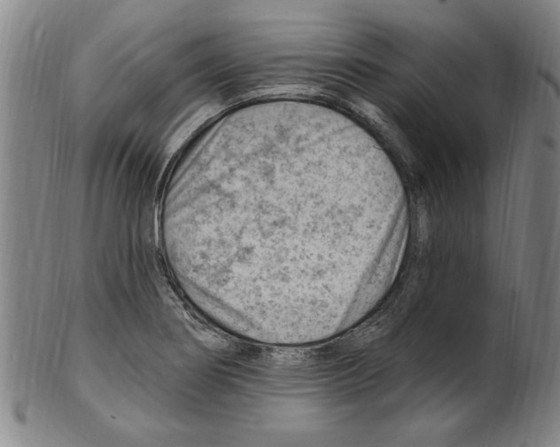 X0000099481274200806061236