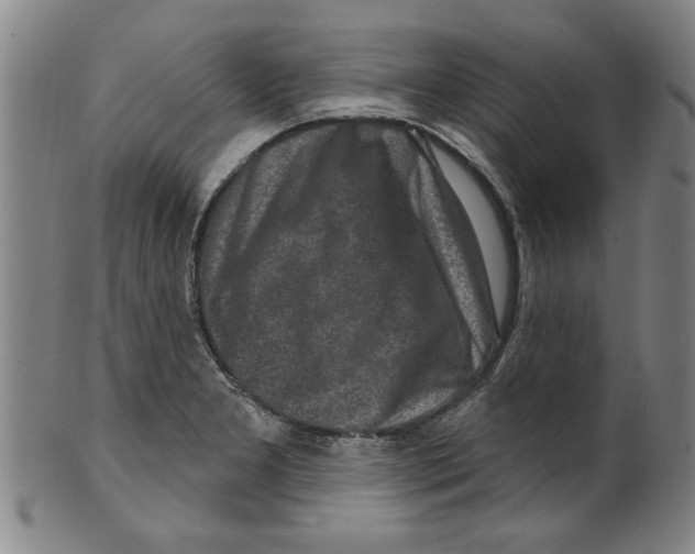 X0000099481277200806061236