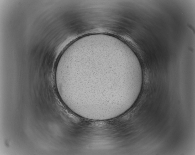 X0000099481278200806061236