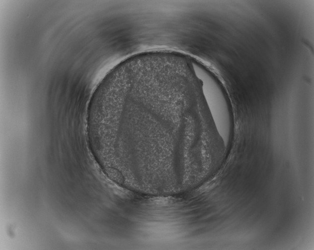 X0000099481279200806061236
