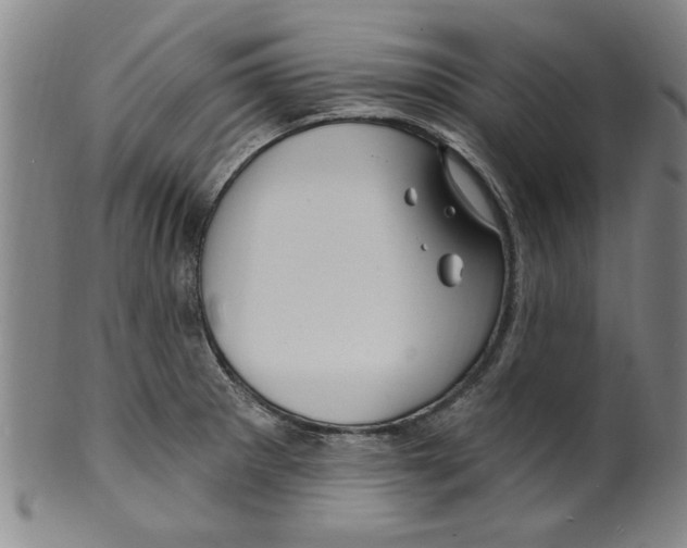 X0000099481281200806061236