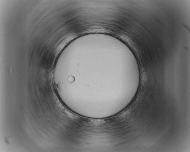 X0000099481282200806061236