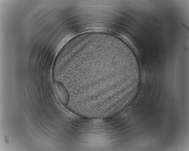 X0000099481283200806061236