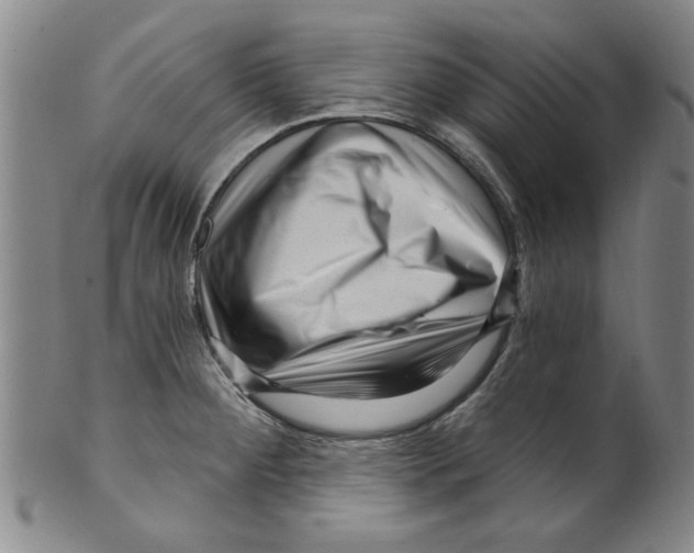X0000099481284200806061236