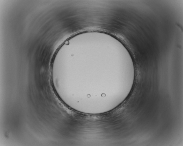 X0000099481286200806061236