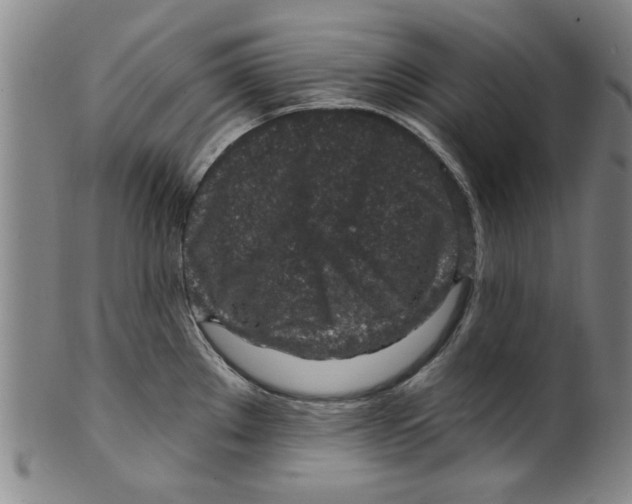 X0000099481289200806061236