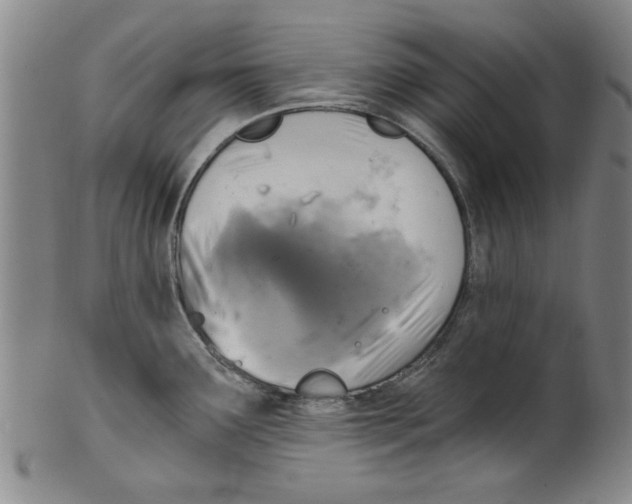X0000099481291200806061236