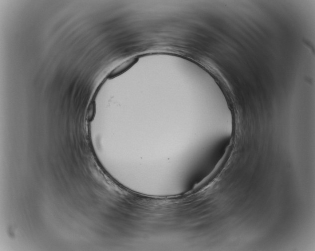 X0000099481292200806061236