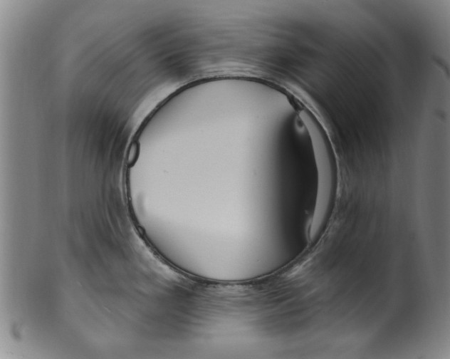 X0000099481293200806061236