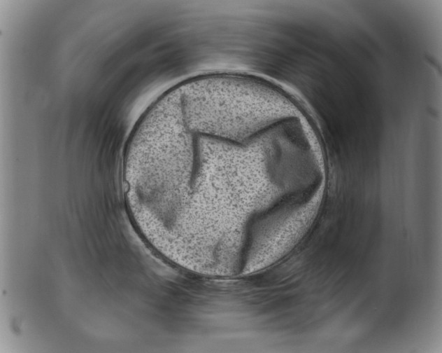 X0000099481295200806061236