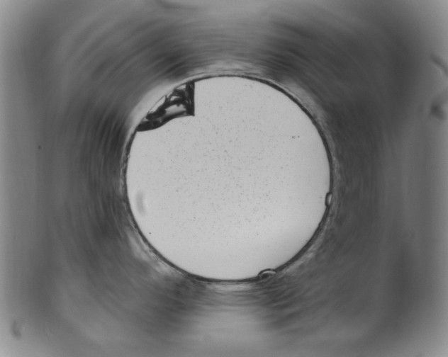 X0000099481296200806061236