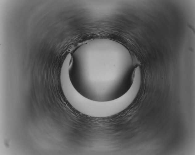 X0000099481298200806061235