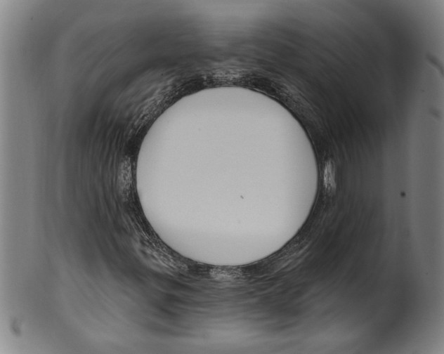 X0000099481299200806061235
