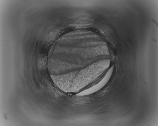 X0000099481300200806061235