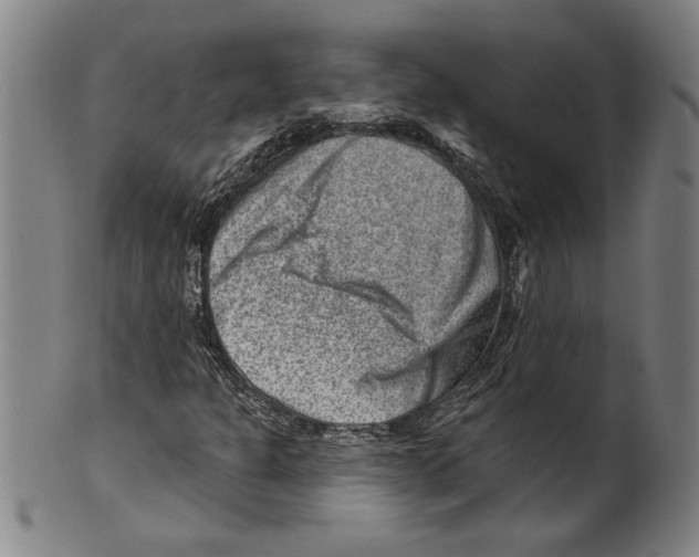 X0000099481301200806061235