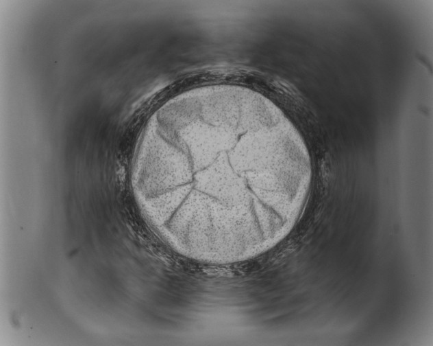 X0000099481302200806061235