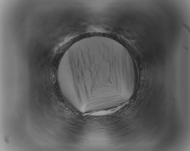 X0000099481303200806061235