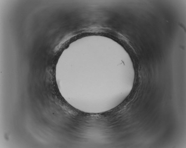 X0000099481304200806061235