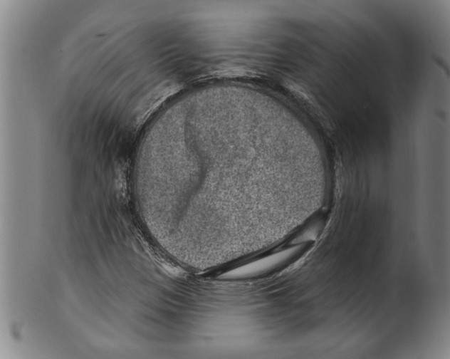 X0000099481305200806061235