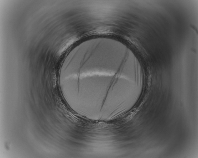 X0000099481306200806061235