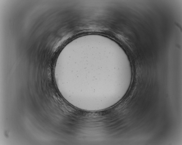 X0000099481307200806061235