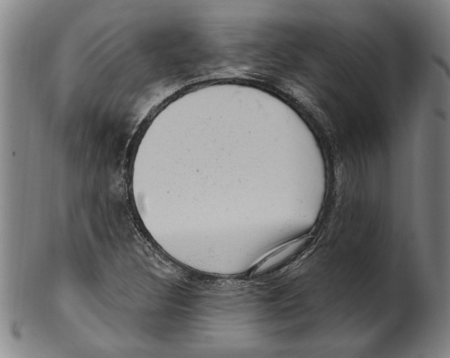 X0000099481308200806061235