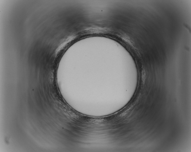 X0000099481309200806061235