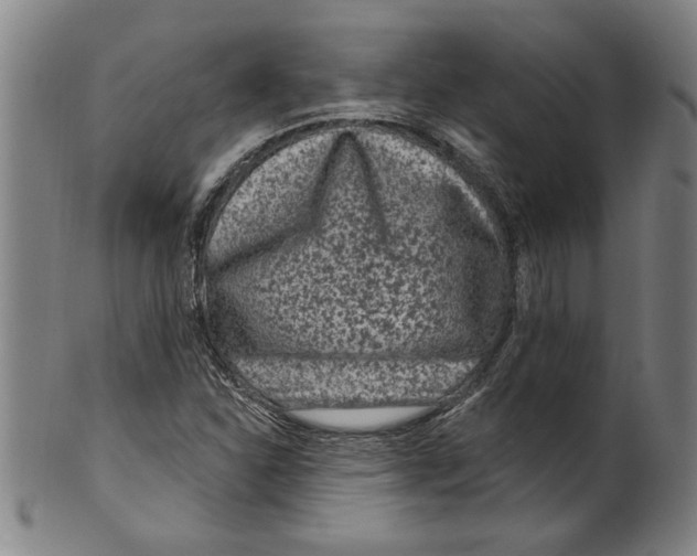 X0000099481310200806061235