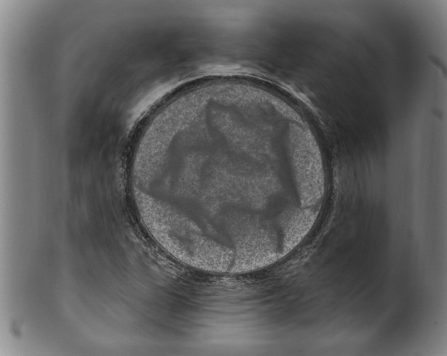 X0000099481311200806061235