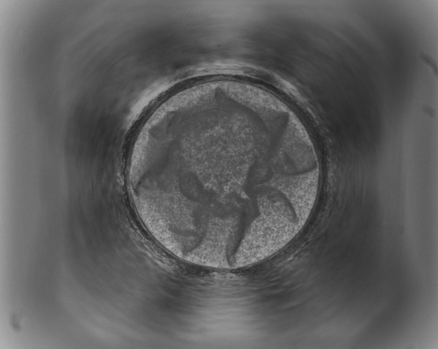 X0000099481312200806061235