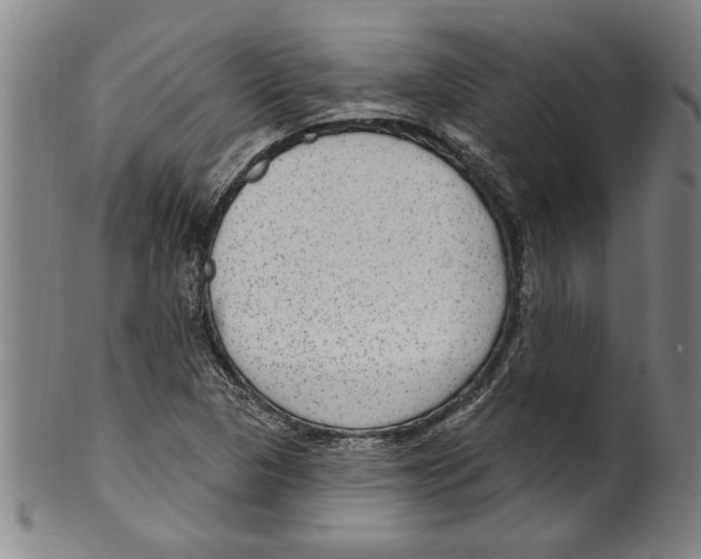 X0000099481313200806061235