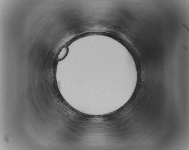 X0000099481315200806061235
