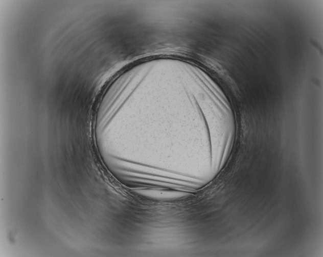 X0000099481316200806061235